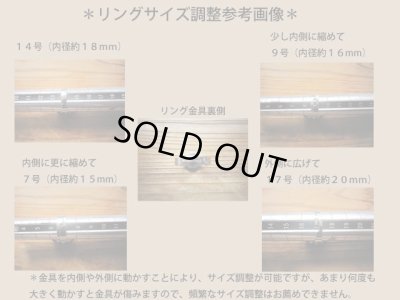 画像9: ゼブラのリング