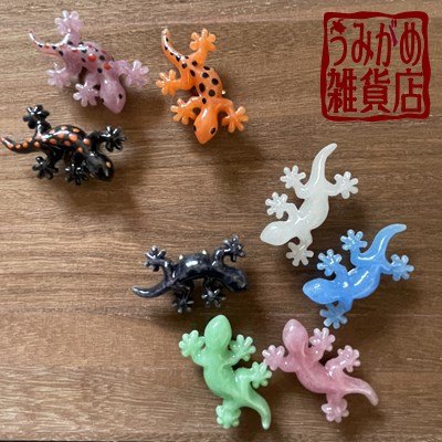 他の紫のやもりもございます＾＾（色違い参考画像）