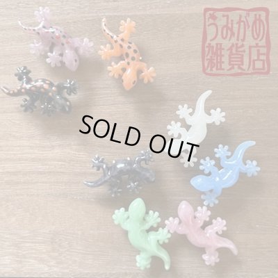 他の紫のやもりもございます＾＾（色違い参考画像）