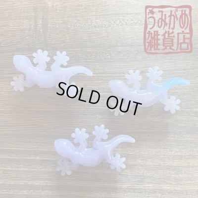 他の紫のやもりもございます＾＾（色違い参考画像）