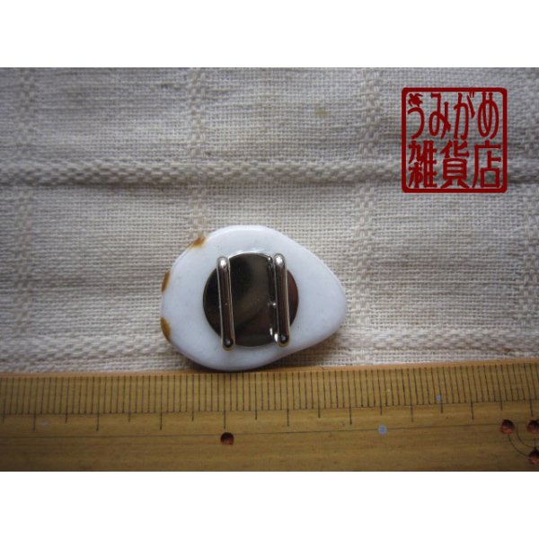 白ウリボーの帯留め＊大きさ参考画像